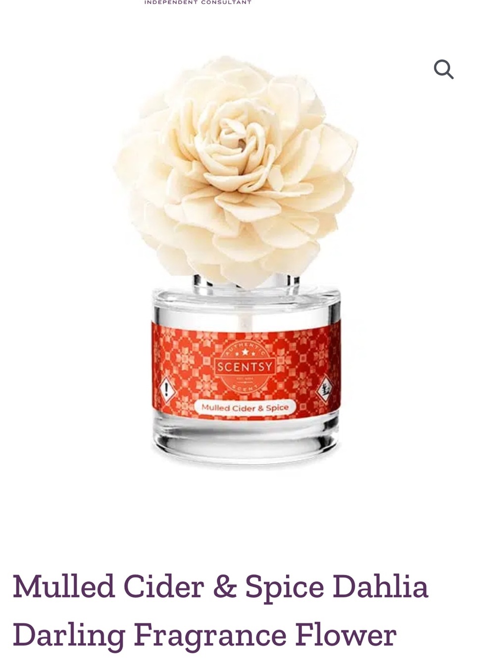 Scentsy Mulled Cider & Spice Fragrance Flower - Cream Bloom PLUS Nest candle